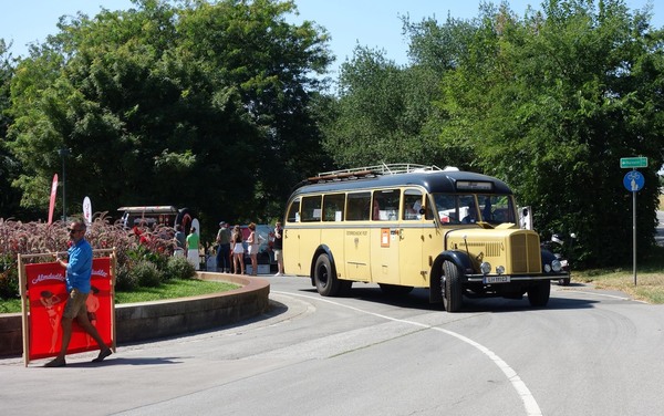 Der wohl längste Teilnehmer war der Postbus Gräf & Stift 120-0 aus dem Jahr 1949... - Vienna Classic Days 2024