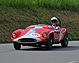 Devin TR (1957) - am Gaisbergrennen 2012 - Rennwagenklasse (© Josef Mayrhofer, 2012) Devin TR (1957) - am Gaisbergrennen 2012 - Rennwagenklasse (© Josef Mayrhofer, 2012)