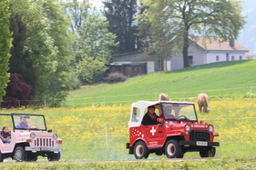 Diavolino (1985) - 12. Internationales Microcar Treffen Wohlen 2022