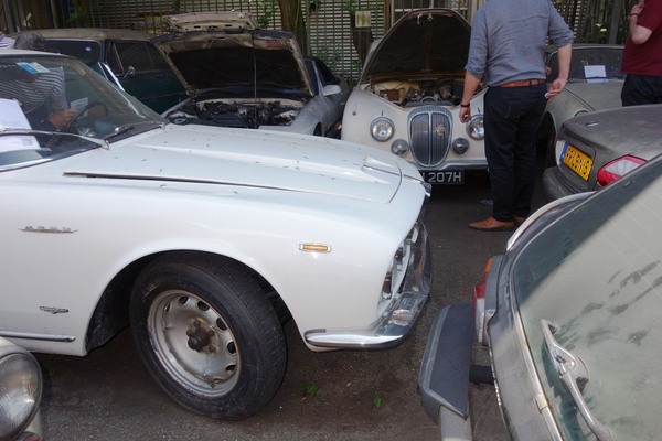 Dicht gedrängt ging es auch auf dem Aussengelände zu - Palmen Scheunenfund-Sammlung