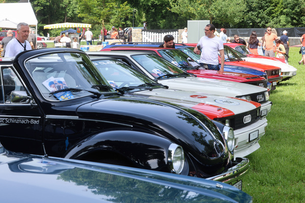 Die Autos der AMAG-Classic-Gruppe im Infield - Oldtimer GP Brugger Schachen 2024