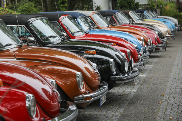 Bild Die Baureihen 1302 und 1303 unterscheiden sich u.a. durch die Form der Frontscheibe, hier schön zu sehen - Internationales Käfer-Cabrio-Treffen von Deutschland 2025