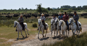 Die "Cowboys" der Camargue" - Eindrücke von der Lavendeltour Die "Cowboys" der Camargue" - Eindrücke von der Lavendeltour