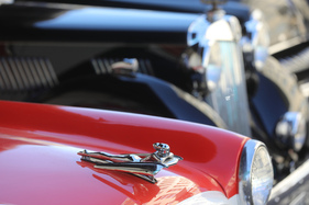 Die Dame nimmt es gelassen ... - Older Classics August 2024