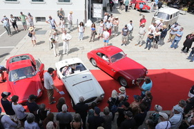 Die Finalisten der Presentation dExcellence - Wald Rollt 2025