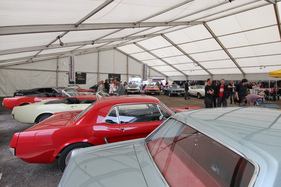 Die Ford Mustang Sonderschau im Zelt - OSMT Zug September 2015