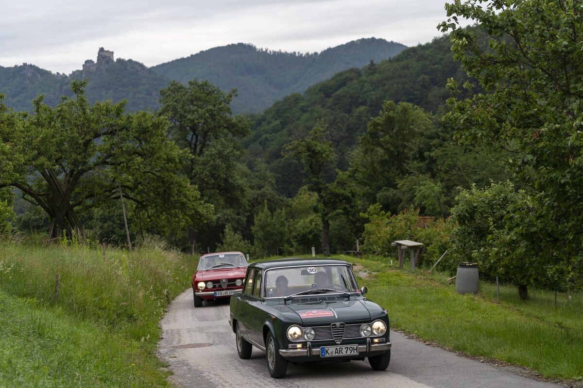 Die Giulia-Generation - vorne Giulia-Limousine, dahinter GTV - Alfa Classic Wachau 2024