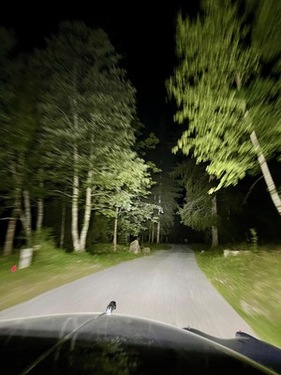 Bild Die Halogen-Extrabeleuchtung für den Mk 2 hat sich gelohnt - Alpenbrevet 2025