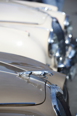 Die Jaguar-Kühlerfigur macht schon etwas her - Swiss Classic British Car Meeting Morges 2017