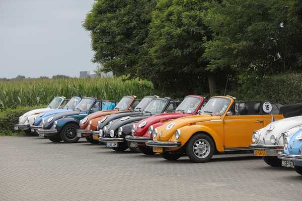 Die Käfer-Cabriolet-Phalanx beim Klein-Flughafen - Internationales Käfer-Cabrio-Treffen von Deutschland 2025