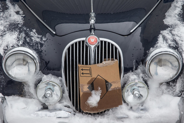 Die Kälte war mit rund minus 5 Grad sehr gut zu ertragen, da genügten auch improvisierte “Mützen", …