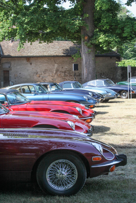 Die Kategorie "Jaguar E Type 61è Anniversaire" war die grösste Kategorie - Concours d'Elégance Suisse Coppet 2022