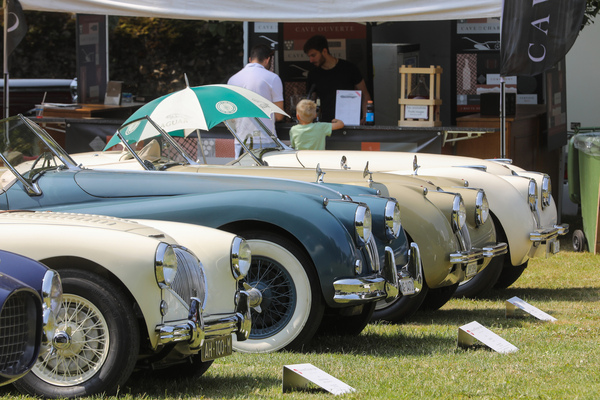 Die Klasse "Modern Icons - Road & Track" mit Austin-Healey und Jaguar XK120 - Concours d'Elégance Suisse Château Coppet 2023