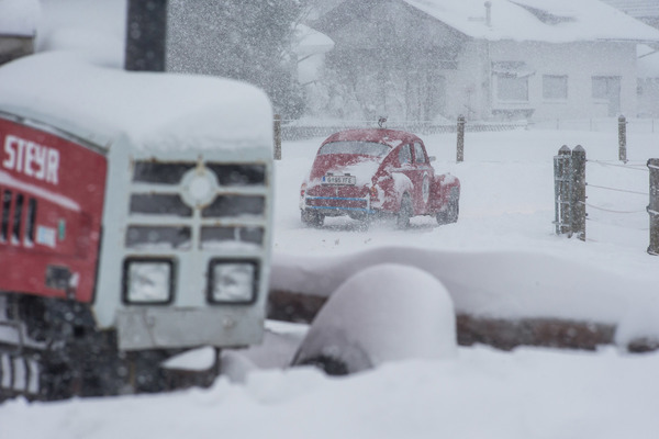 Die Kühe blieben im Stall und der Traktor dort, wo er war, …