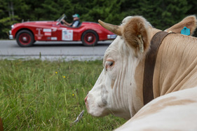 Bildergeschichte Ennstal-Classic 2018 - Fahren im letzten Paradies
