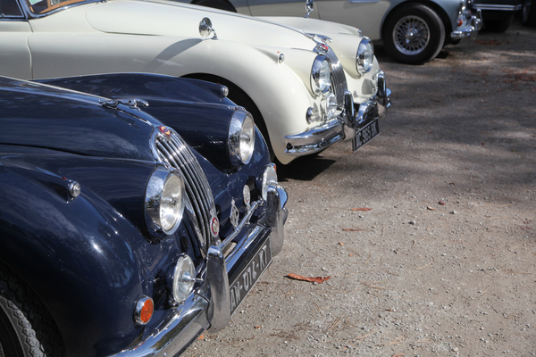 Die Kühler späterer Jaguar XK-Modelle - Swiss Classic British Car Meeting Morges 2017
