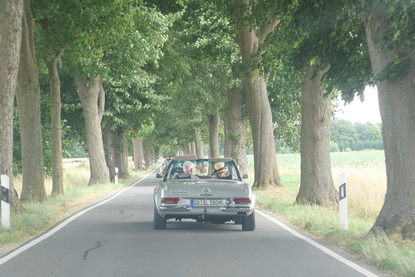 Bild Die Rallye-Route führte auf einsamen Landstrassen von Einbeck in Niedersachsen bis zum Bilster Berg in Nordrhein-Westfalen und zurück. Hier passiert der Tross eine respekteinflössende Allee – Einbecker Oldtimertage 2025
