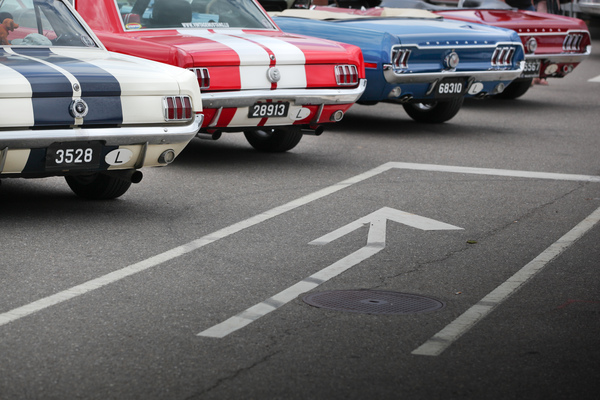 Bild Die Richtung ist klar - frühe Mustang-Varianten mit langer Anreise - Mustang & Shelby Meeting 2017 in Zug