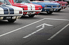 Artikelbild Ford Mustang Treffen in Zug 2017 - Pferdchen zwischen Stieren