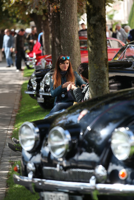 Die Schönen unter den Schönen - Concours d'Excellence International Luzern 2017