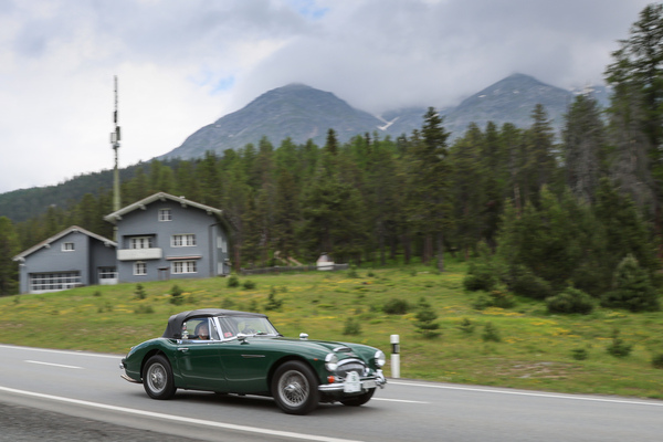 Bild Die Sieger der Rallye - Marco Biroli und Luisa Guenzani im Austin-Healey 3000 Mk III (1966) - 30. BCCM St. Moritz “Safari Edition” 2024