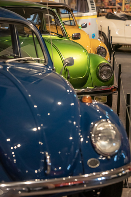 Bild: Die Sonderausstellung zum VW Käfer im Auto & Traktor Museum Bodensee