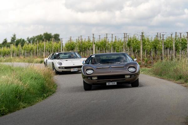 Image: The tour leads through vineyards - Lamborghini Polo Storico Giro 2026