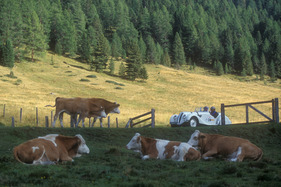 Die freie, fast unberührte Natur bleibt für die Teilnehmer noch ewig in Erinnerung