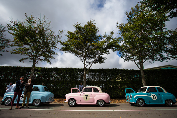Image: The Austin A30/A35 painted in different colors before the race for the St. Mary's Trophy - Goodwood Revival 2016
