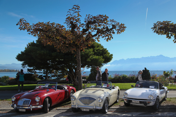 Bild Die klassischen britischen Sportwagen versammelt am Quai - MGA, Austin-Healey, Triumph Spitfire - Swiss Classic British Car Meeting Morges 2017