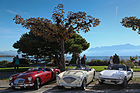 Artikelbild Swiss British Classic Car Meeting Morges 2017 - Herbstgenuss im Zeichen der Raubkatze