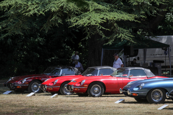 Die neueren Jaguar E-Type in der dafür vorgesehenen Klasse - Concours d'Elégance Suisse Coppet 2022
