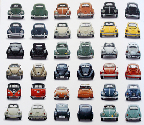 Bild Die portraitierten Käfer - VW Käfer - Das Buch