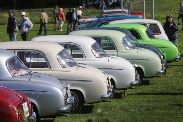 Bild: Die schönen Rücken der Dauphine/Ondine von Renault - 49. FNA-Jahrestreffen 2023