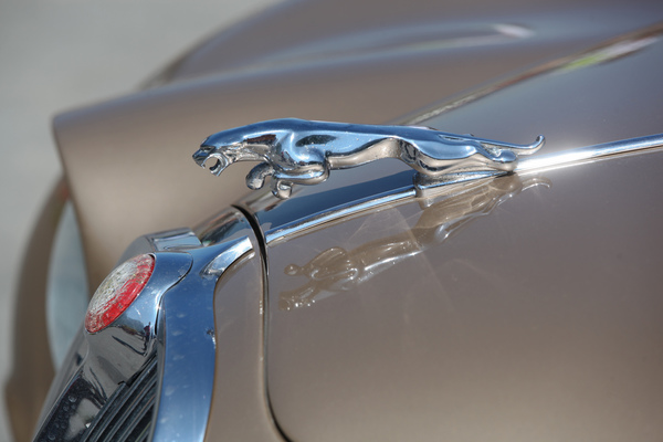 Die springende Katze von Jaguar - British Car Meeting BCM in Mollis 2019