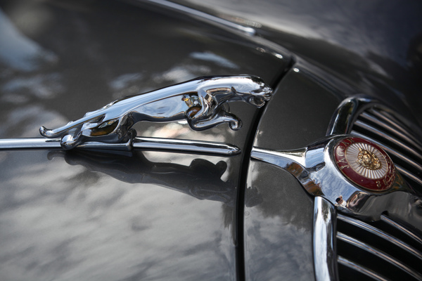 Die sprungbereite Wildkatze auf der Jaguar-Front - Swiss Classic British Car Meeting Morges 2017