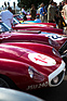 Die wartenden Ferrari des Lavant Cups, mit Nummer 14 ein 750 Monza (1957) - Lavant Cup - Goodwood Revival 2015