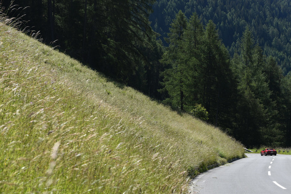 Dino246 GTS (1972) - Saalbach-Classic Rally 2018