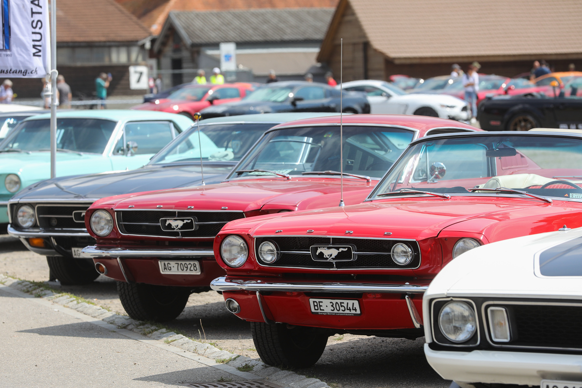 Direkter Vergleich: links ohne, rechts mit GT-Paket samt 4-Zoll-Nebelscheinwerfern - 8. Mustang & Shelby Meeting 2024