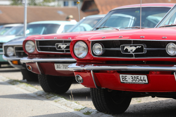 Direkter Vergleich: links ohne, rechts mit GT-Paket samt 4-Zoll-Nebelscheinwerfern - 8. Mustang & Shelby Meeting 2024