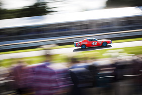 Dodge Charger (1972) - einst gefahren von Richard Petty