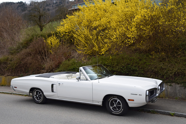 Dodge Coronet 500 Convertible (1970) - angeboten an der Versteigerung der Oldtimer Galerie in Toffen am 29. April 2017