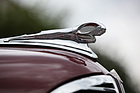 Dodge D8 Langenthal (1938) - Der Chrom-Widder