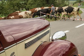 Dodge D8 Langenthal (1938) - Der Widder zeigt den Weg