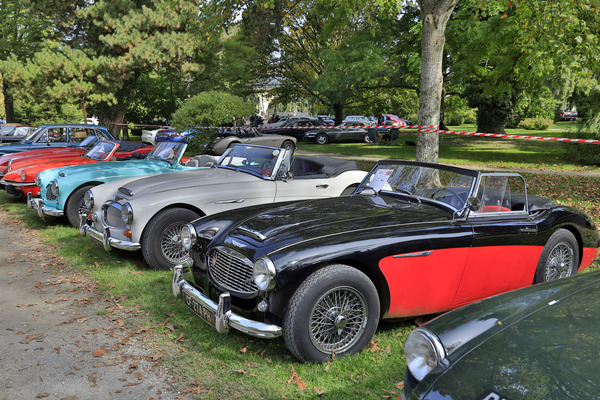 Drei Austin-Healey Sechszylinder Roadster in Reih' und Glied - 29. Swiss Classic British Car Meeting Morges 2021