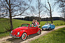 Drei Käfer im Frühling unterwegs (© Wolfgang Wilhelm / Archiv Reinhard, 2016) Drei Käfer im Frühling unterwegs (© Wolfgang Wilhelm / Archiv Reinhard, 2016)