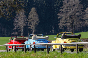 Drei Käfer im Frühling unterwegs Drei Käfer im Frühling unterwegs