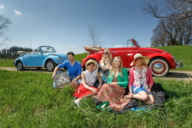 Drei Käfer im Frühling unterwegs