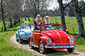 Drei Käfer im Frühling unterwegs (© Wolfgang Wilhelm / Archiv Reinhard, 2016) Drei Käfer im Frühling unterwegs (© Wolfgang Wilhelm / Archiv Reinhard, 2016)