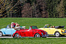 Drei Käfer im Frühling unterwegs (© Wolfgang Wilhelm / Archiv Reinhard, 2016) Drei Käfer im Frühling unterwegs (© Wolfgang Wilhelm / Archiv Reinhard, 2016)